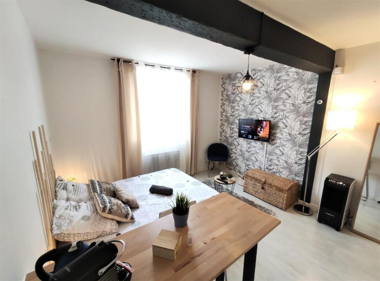 Le Jasmin Des Carmes - Hypercentre - Netflix Apartment Toulouse Ngoại thất bức ảnh