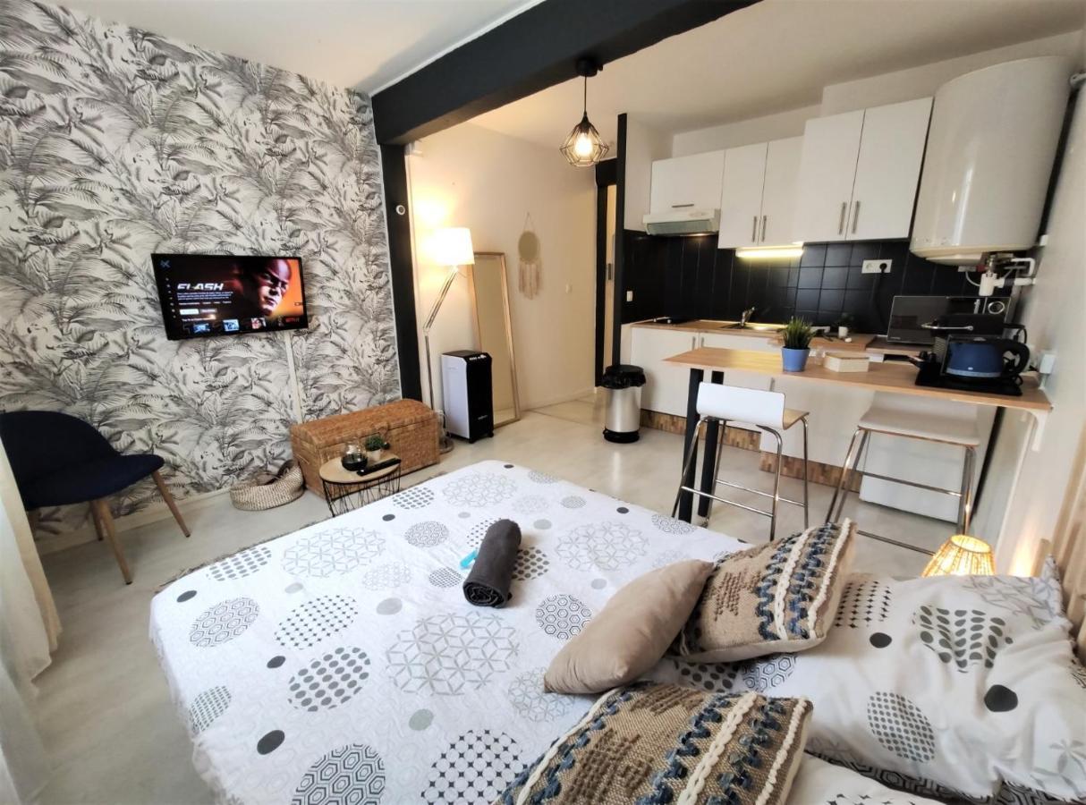 Le Jasmin Des Carmes - Hypercentre - Netflix Apartment Toulouse Ngoại thất bức ảnh